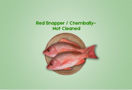 Cleaned Nadan Red Snapper  /  Red Chembally  (350gm)